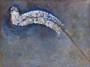 Foxtail Lily, 1909
